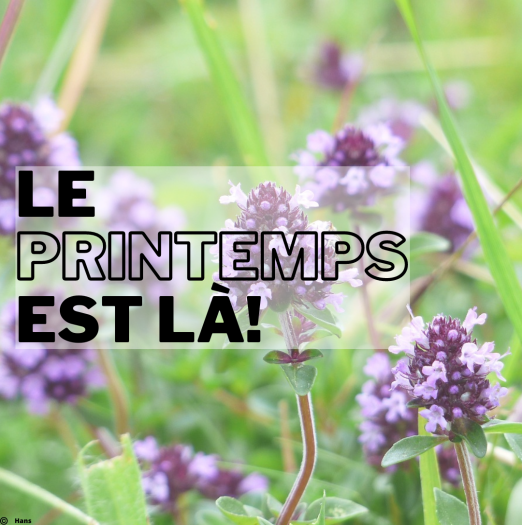 Illustration actu