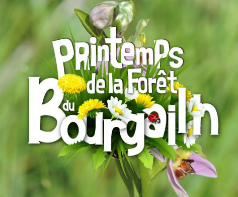 Illustration actu