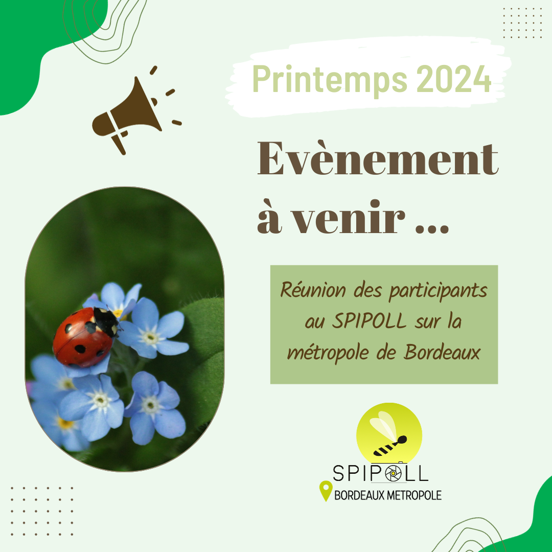 Illustration actu