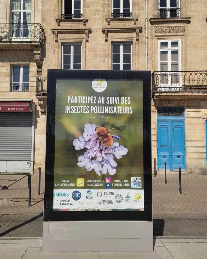 Illustration actu