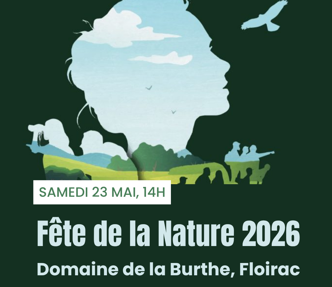 Illustration actu