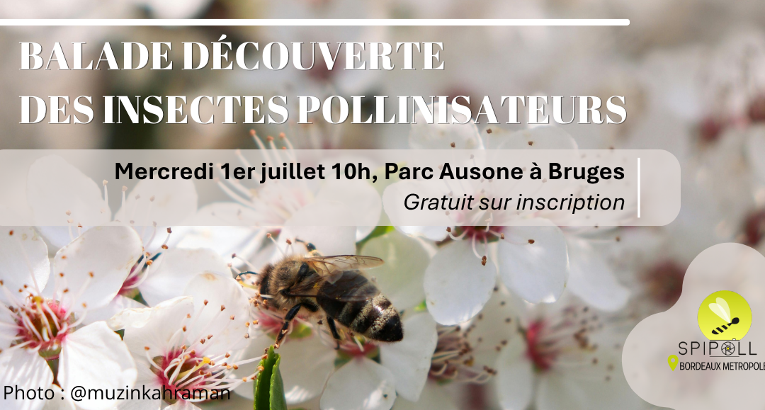 Illustration actu